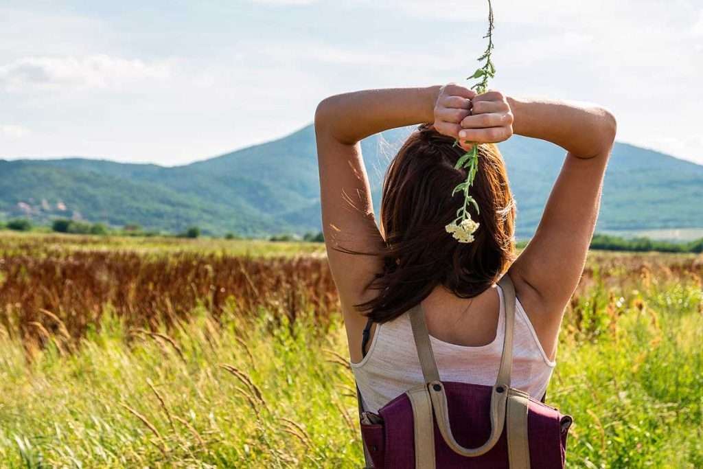 Mejora el estado de ánimo y el estrés con plantas adaptógenas
