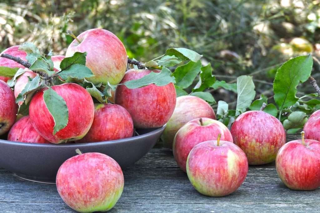 La piel de la manzana, una gran aliada contra el sobrepeso y la obesidad