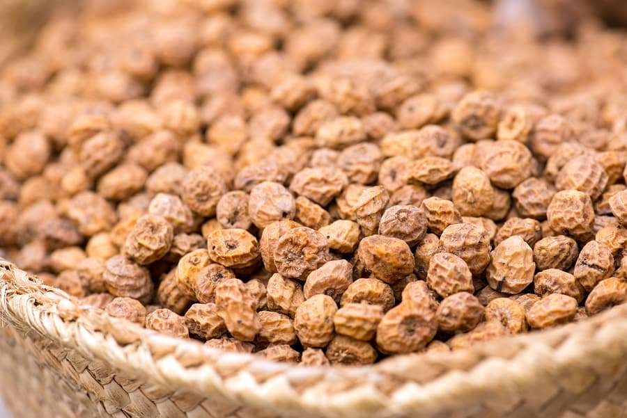 Le souchet, super aliment de la Méditerranée