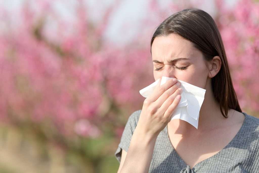 alergia primaveral