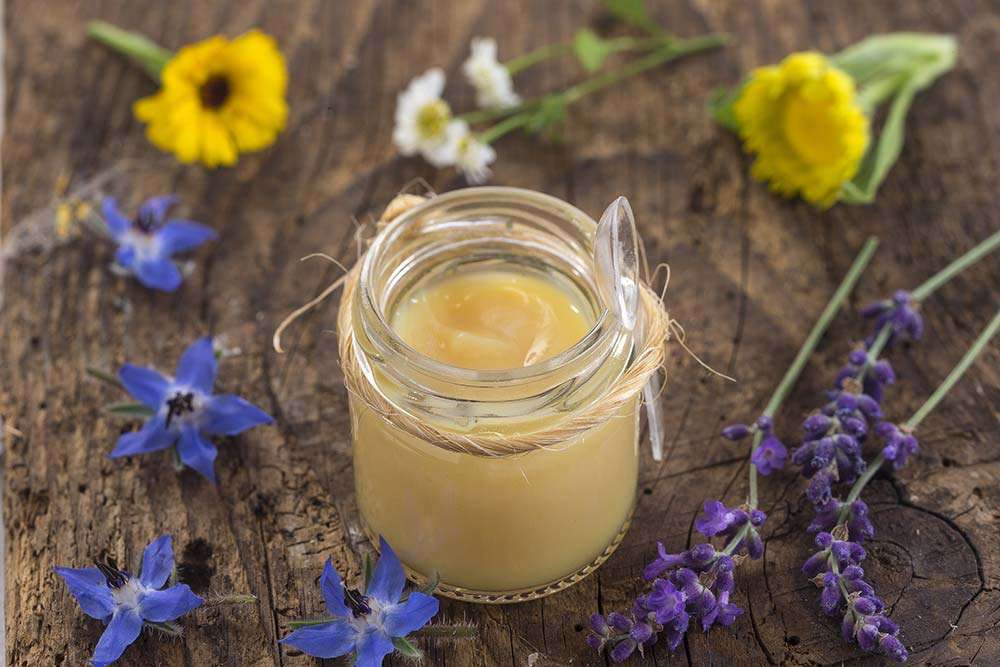 Retrouver de l&rsquo;énergie avec la gelée royale