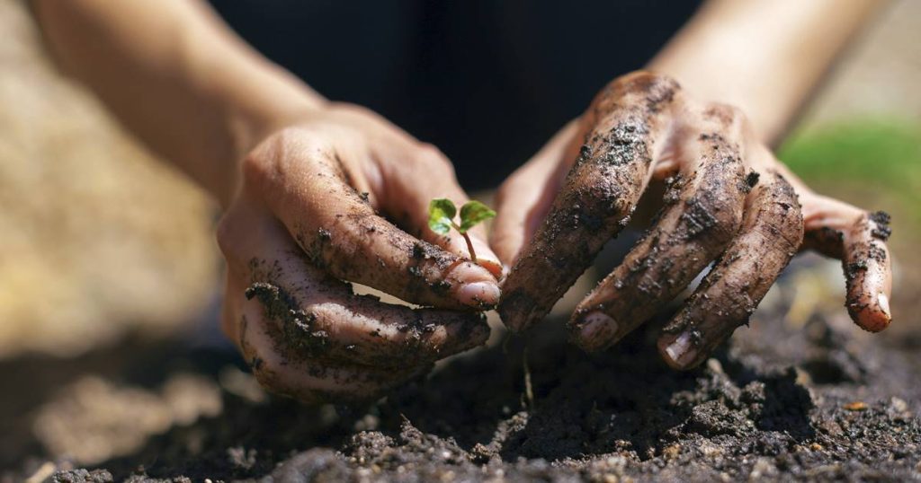 10 aliments anciens qui valent la peine d'être récupérés