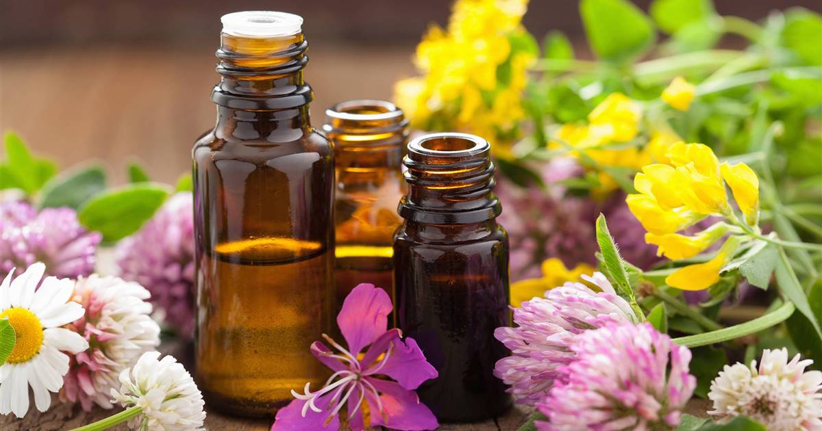 12 huiles végétales utilisées en cosmétique naturelle (et leurs propriétés)