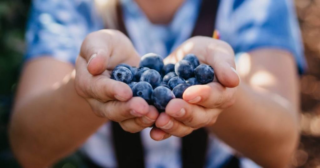 18 superaliments très précieux pour votre santé