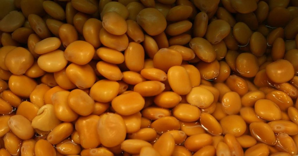 4 raisons pour lesquelles les lupins sont en très bonne santé