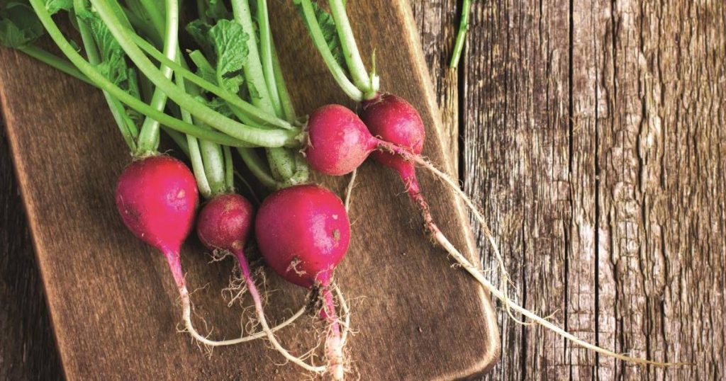 6 aliments alliés de l'intestin et de la digestion