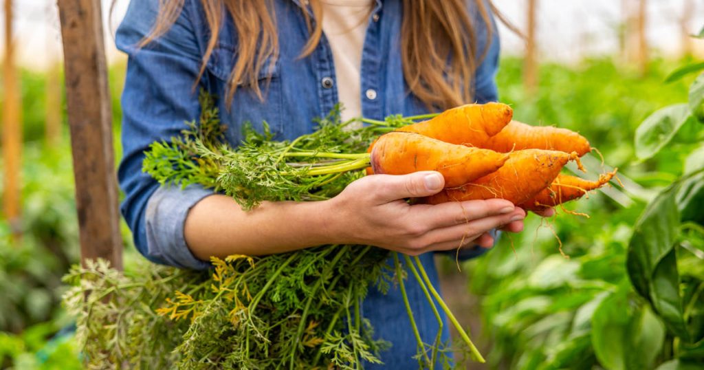 7 aliments riches en vitamine A (classés du plus au moins)