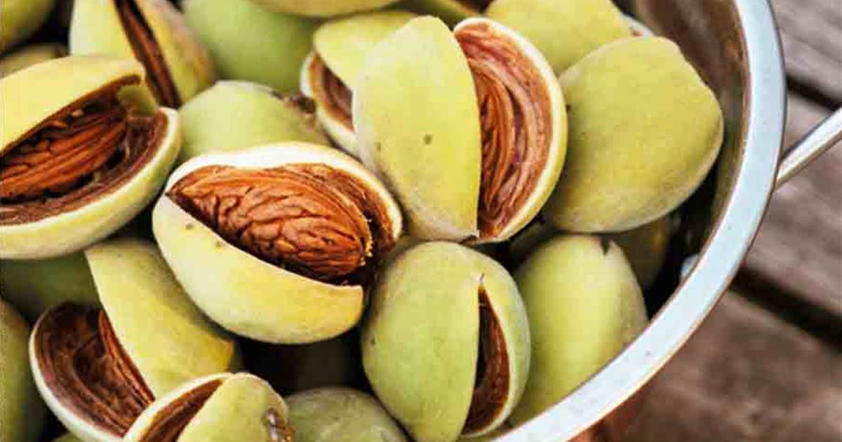 9 aliments pour renforcer et soigner les muscles