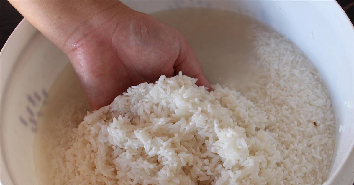 Eau de riz pour le visage et les cheveux : recette maison