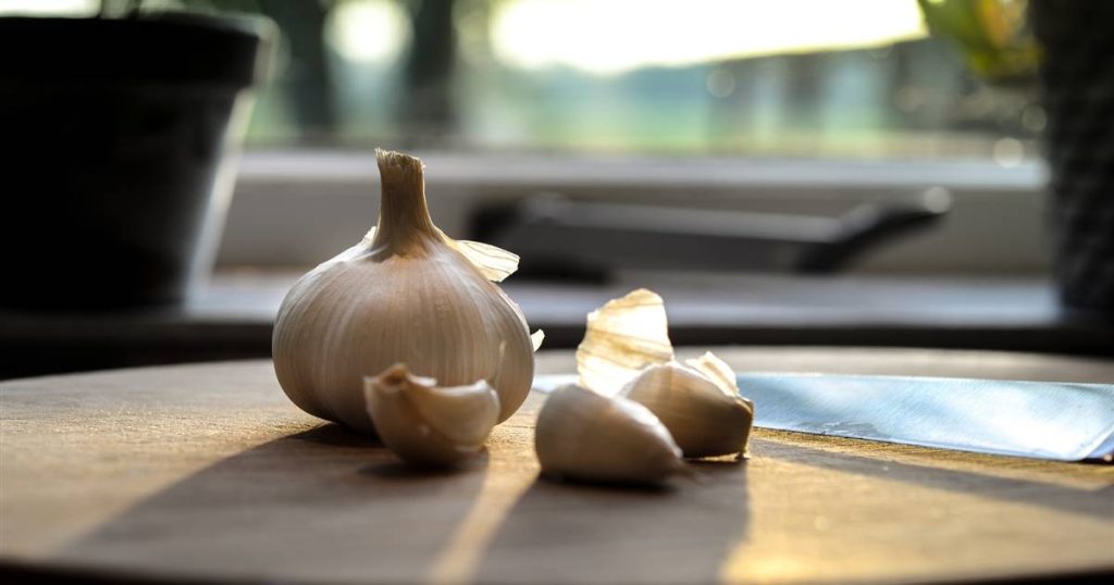 Est-ce mauvais de manger trop d'ail ?