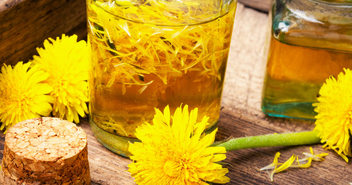 Fabriquez vos propres cosmétiques thérapeutiques avec des fleurs de pissenlit