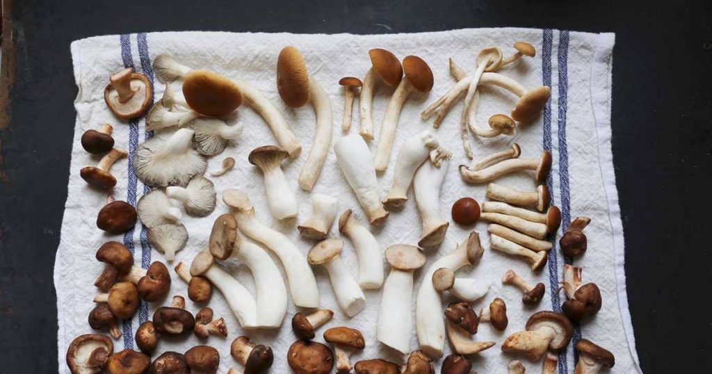 Faites-vous vacciner avec les bêta-glucanes de champignons
