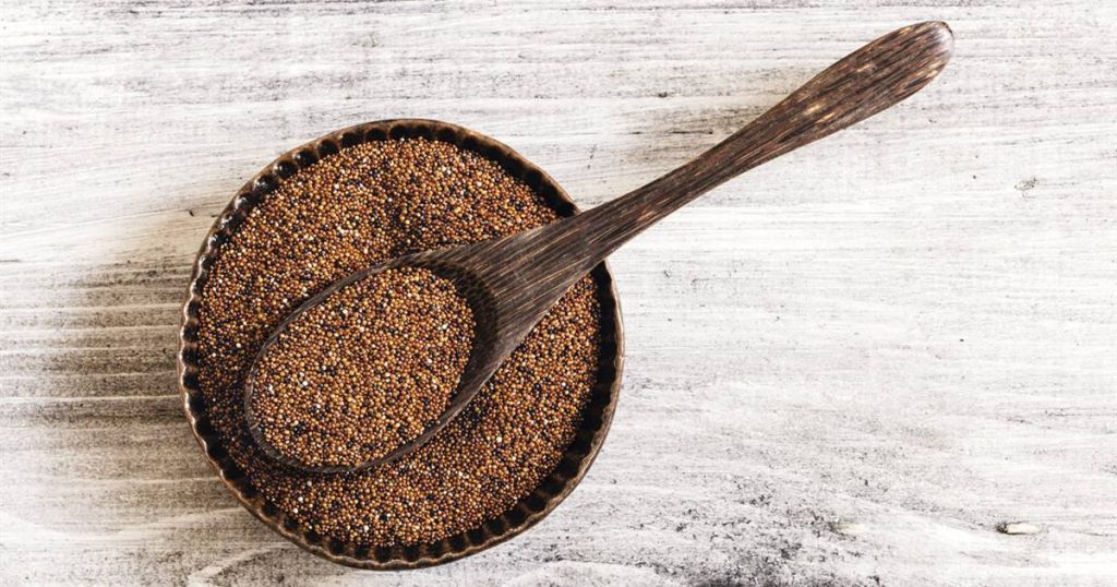 Le Cañihua andin, encore plus riche en protéines que le quinoa