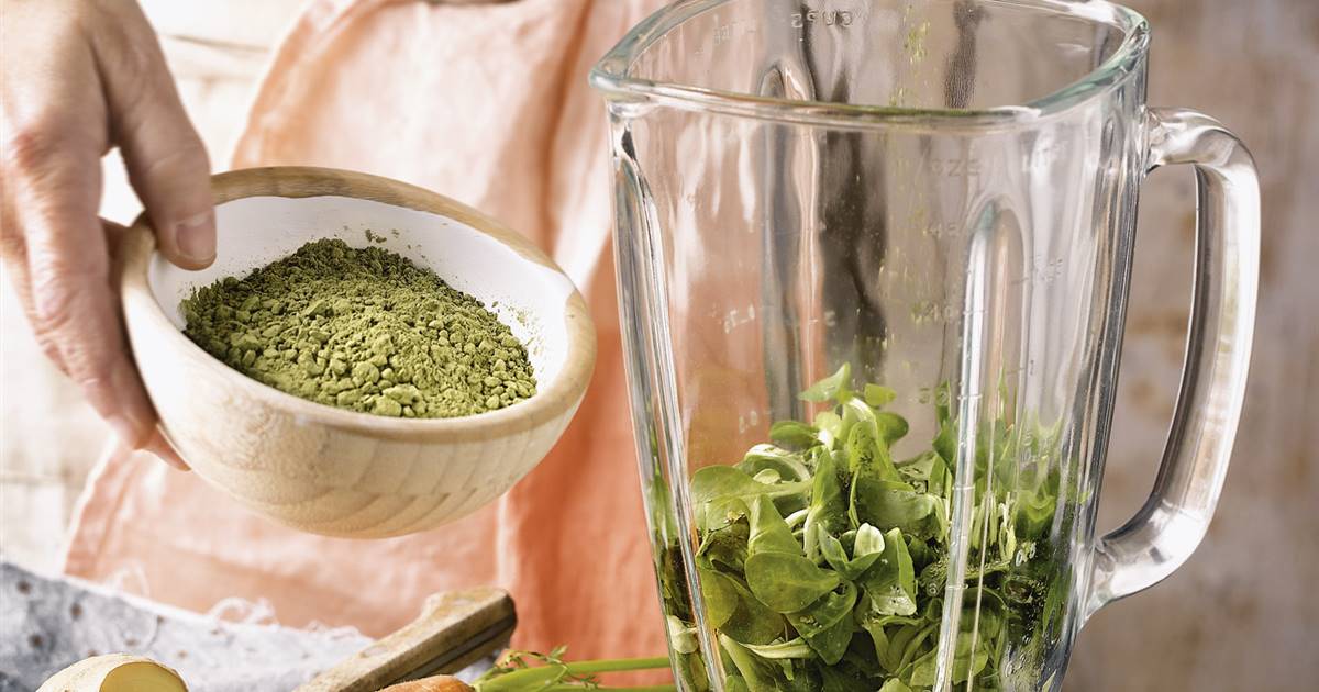 Moringa : une plante tropicale pleine de propriétés
