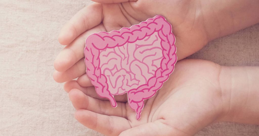 Postbiotiques : voici comment ils combattent l’inflammation et comment aider votre corps à les produire