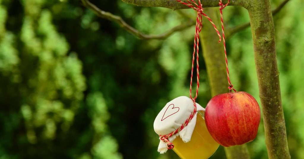 Préparez votre propre compote de pommes sans sucre