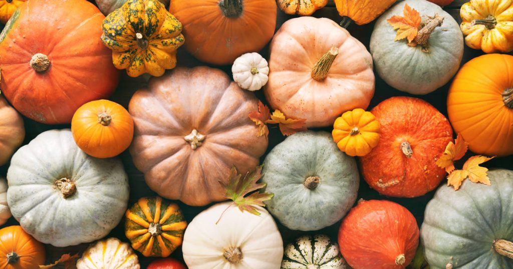 Quel type de citrouille se marie le mieux avec chaque recette ?
