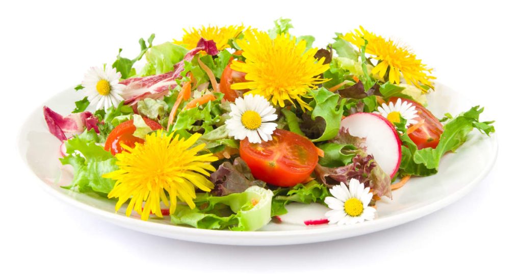 Quelles fleurs sont comestibles et lesquelles ne le sont pas ?