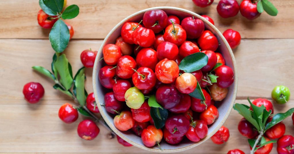 Qu'est-ce que l'acérola, quelle quantité de vitamine C apporte-t-il et quelles sont ses propriétés ?