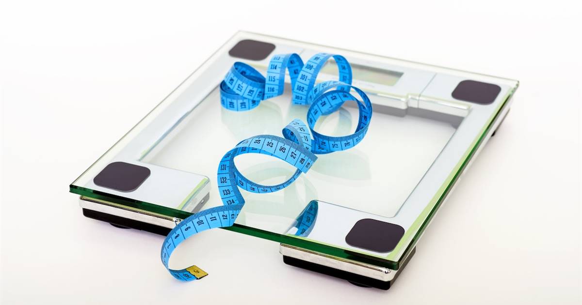 Réussir sa perte de poids : quel rôle jouent réellement les glucides, les graisses et les sucres ?