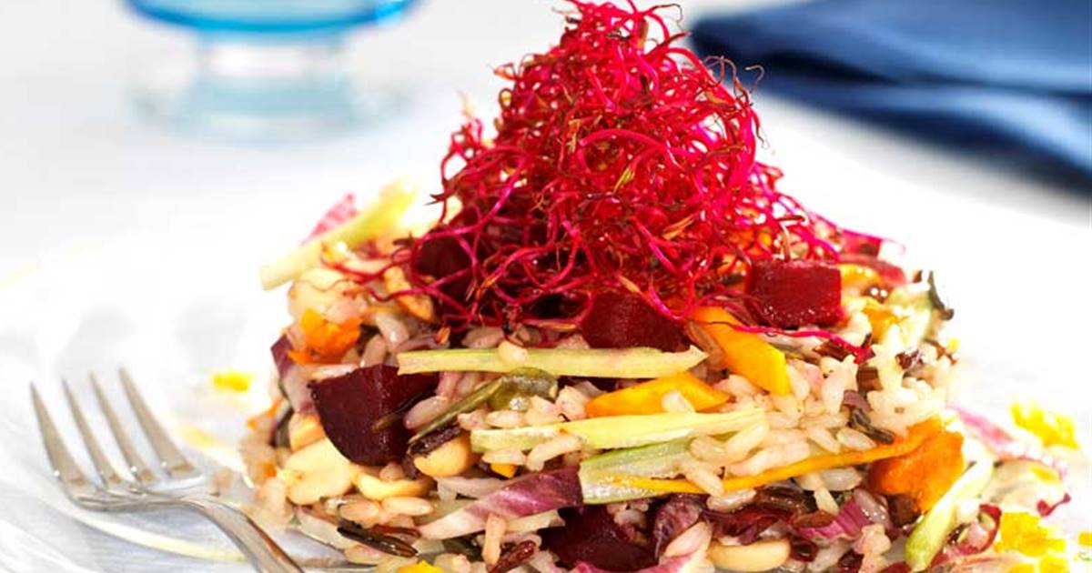 4 salades complètes avec tout le jardin qui sont rafraîchissantes