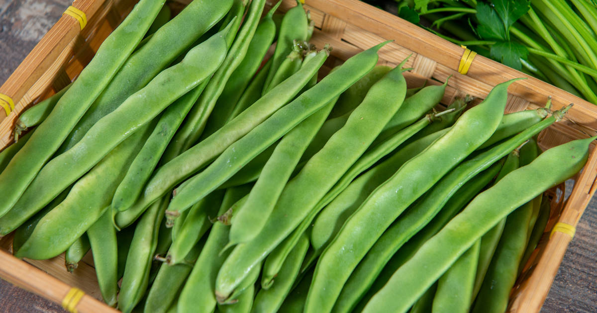 Comment cuisiner les haricots verts pour qu&rsquo;ils ne soient pas insipides : vinaigrettes et recettes