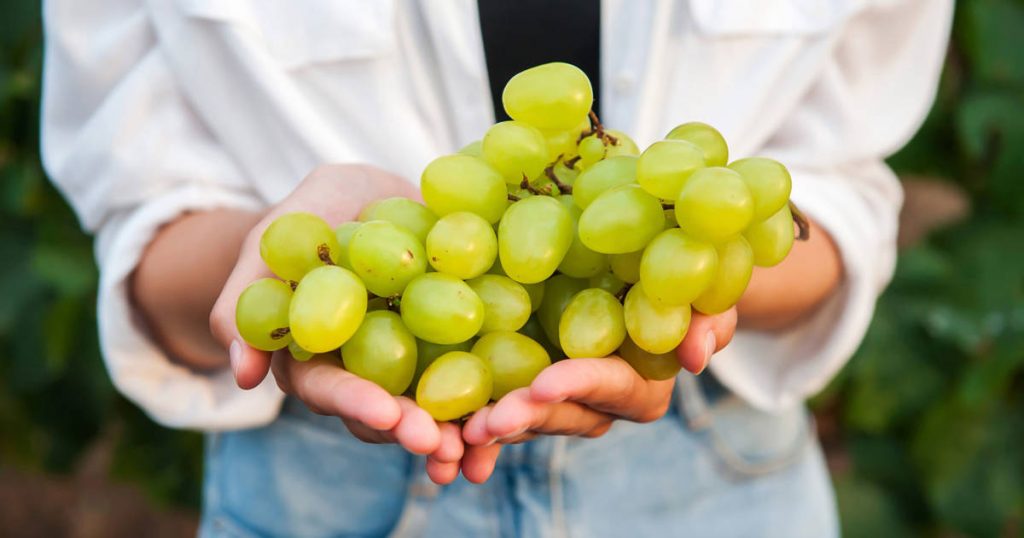 Les 10 fruits et légumes de saison qui sont à leur apogée en automne (et qui vous éviteront de tomber malade)