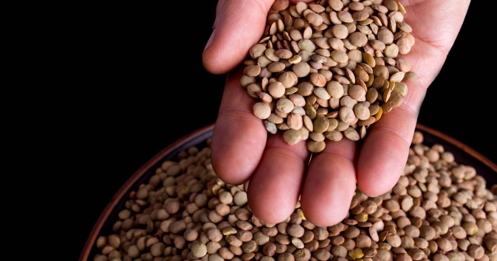 Vous vous trompez et vous ne le savez pas : l'erreur courante lorsqu'on prépare des lentilles